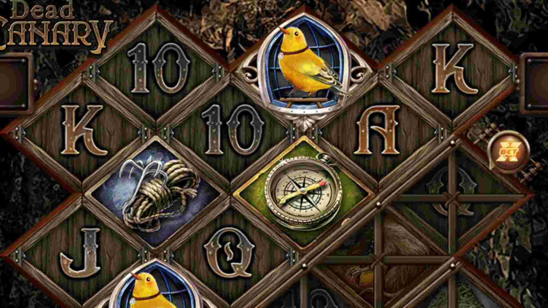 Birds on a Wire slot
